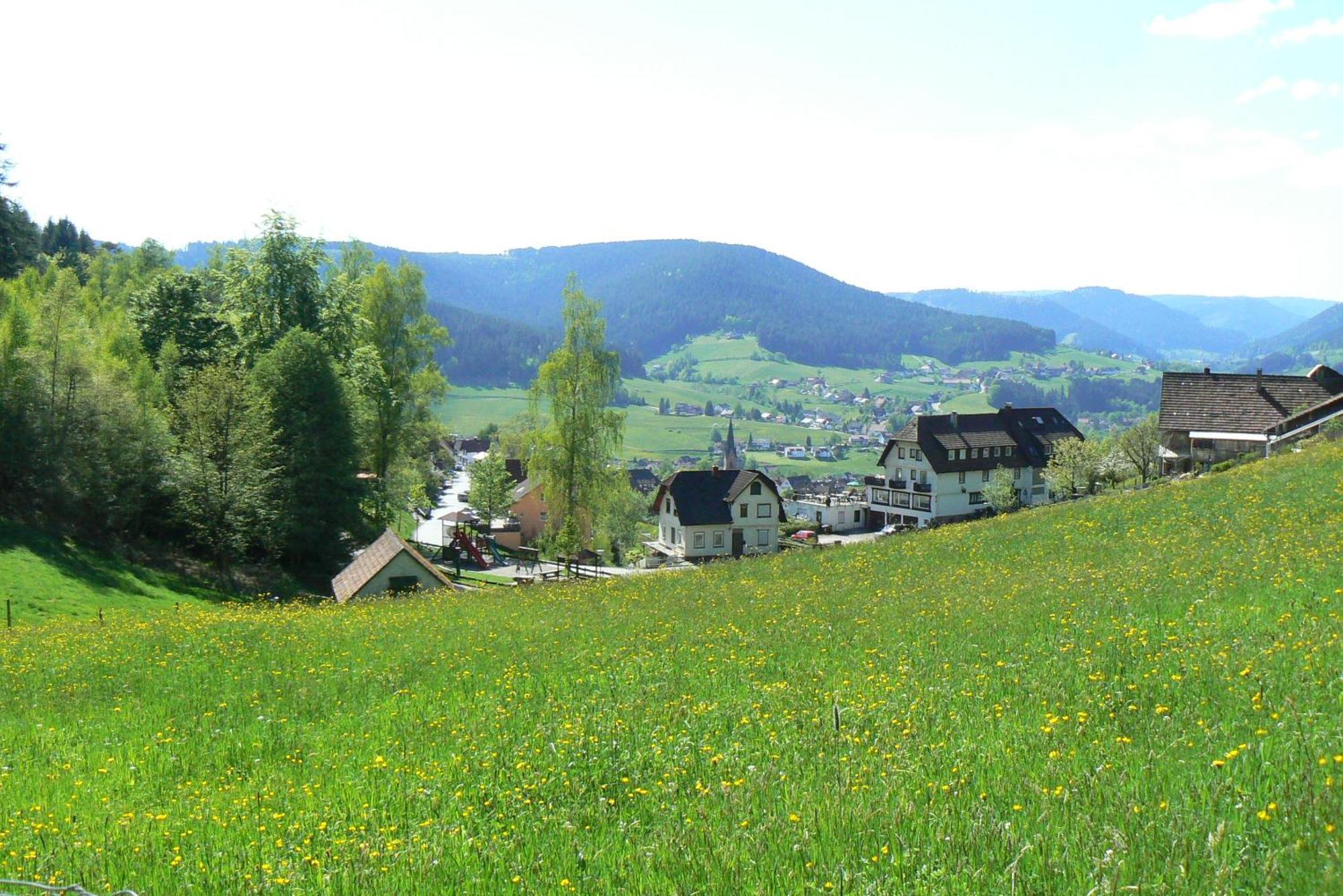 Pension Talblick Baiersbronn Exterior foto