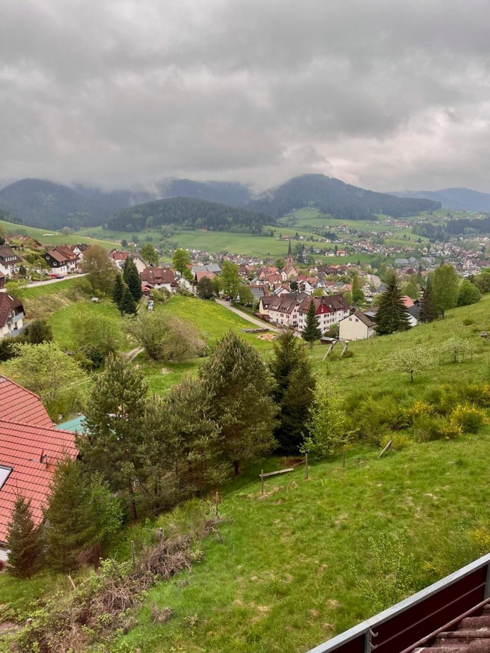 Pension Talblick Baiersbronn Exterior foto
