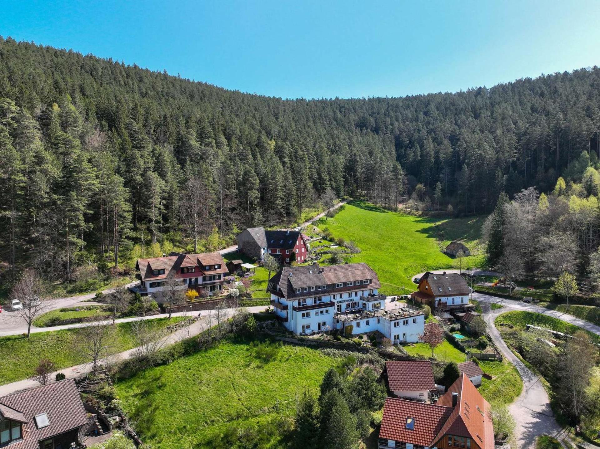 Pension Talblick Baiersbronn Exterior foto