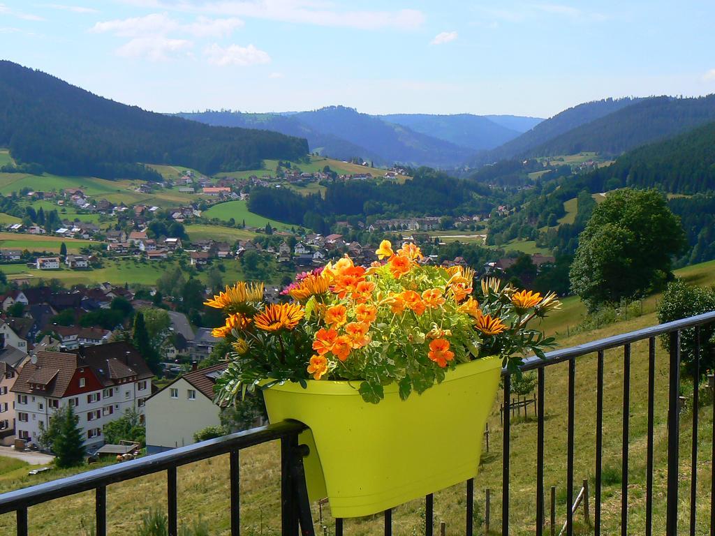 Pension Talblick Baiersbronn Exterior foto